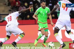 أبيدي بيلي يرشح الجزائر للتتويج بكان 2019