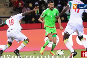 أبيدي بيلي يرشح الجزائر للتتويج بكان 2019