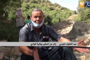 خنشلة: غابات الأوراس.. وجهة العائلات المفضلة بحثا عن الهدوء والأجواء المنعشة