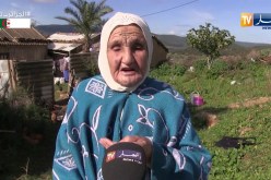 قالمة/ مصير مجهول لأراضي فلاحية منتجة