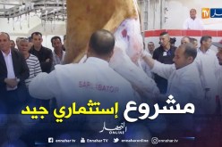 إستثمار: مذبح عصري للأغنام و الأبقار تتدعم به ولاية البويرة