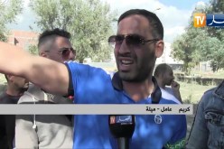 ميلة: الإعتداءات تطال أشجار الزيتون ومطالب ترفع بفتح تحقيق حول الوضع