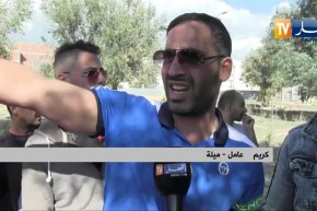 ميلة: الإعتداءات تطال أشجار الزيتون ومطالب ترفع بفتح تحقيق حول الوضع