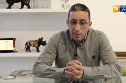 مالية: 300 مليار دولار قروض غير مسددة من المؤسسات خلال 10 سنوات