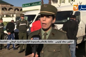 درك وطني/ توقيف شبكة تحترف سرقة الأبقار والمواشي عبر إقليم العاصمة