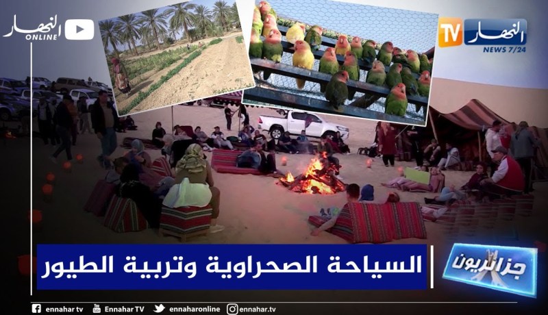 جزائريون: تربية الطيور النادرة و إرادة خالتي هوارية في الفلاحة و شباب يروجون للسياحة الصحرواية