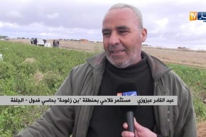 الجلفة/ إنتاج الفلفل والطماطم بحاسي فدول…الفلاحون متخوفون من خسارة المنتوج