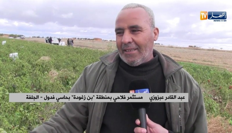 الجلفة/ إنتاج الفلفل والطماطم بحاسي فدول…الفلاحون متخوفون من خسارة المنتوج