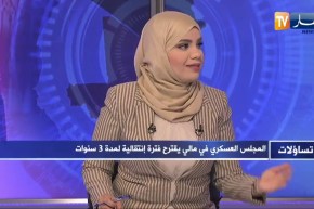 تساؤلات: عدم الإستقرار في مالي.. التحول في المقاربة الأمنية في منطقة الساحل