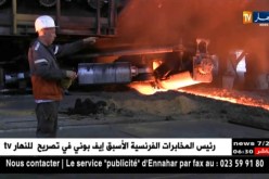 صناعة: إنشاء شركة جزائرية إماراتية لإنتاج الحديد والصلب داخل مركب الحجار بعنابة
