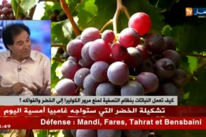 كيف تعمل النباتات بنظام التصفية لمنع مرور الكوليرا إلى الخضر والفواكه !!؟