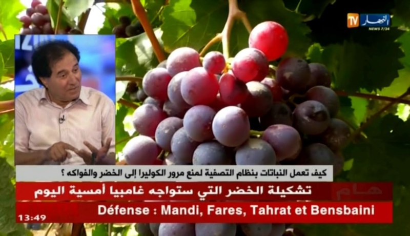 كيف تعمل النباتات بنظام التصفية لمنع مرور الكوليرا إلى الخضر والفواكه !!؟