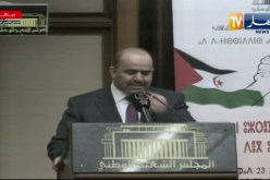شنين: الجزائر ساهم في الدفاع عن حقوق الشعوب المستعمرة