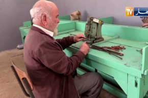 لضمان وفرة الإنتاج .. إستحداث طرق جديدة لتطعيم أشجار العنب