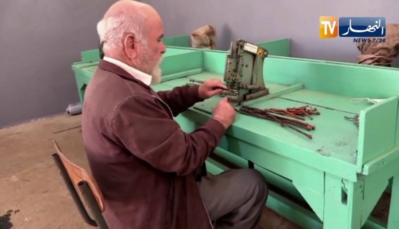 لضمان وفرة الإنتاج .. إستحداث طرق جديدة لتطعيم أشجار العنب