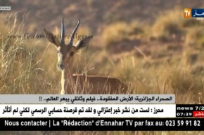 الصحراء الجزائرية : الأرض المفقودة …فيلم وثائقي يبهر العالم ..!!