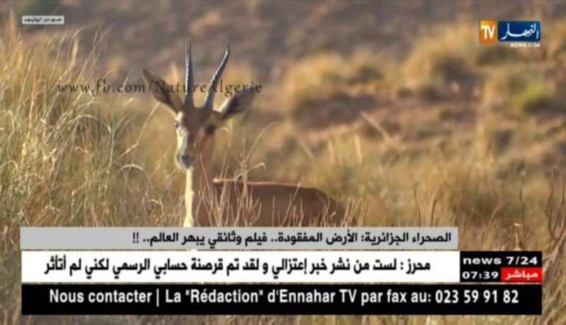 الصحراء الجزائرية : الأرض المفقودة …فيلم وثائقي يبهر العالم ..!!