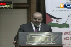 شنين: قضية الصحراء الغربية هي قضية تصفية استعمار