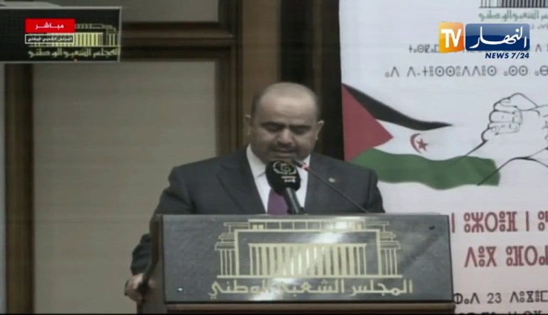 شنين: قضية الصحراء الغربية هي قضية تصفية استعمار