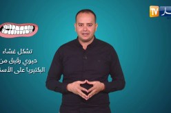 صحة mag  /علاج إلتهاب اللثة