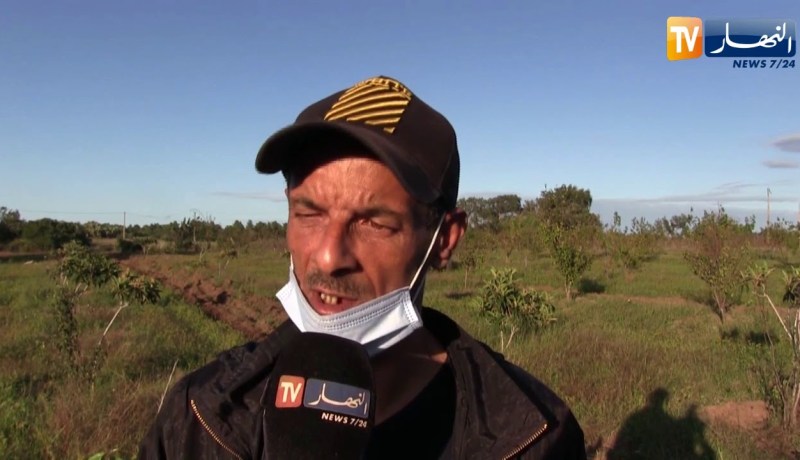 الطارف: سفيان ينجح في عملية غرس قرابة 500 شجرة مثمرة رغم العراقيل