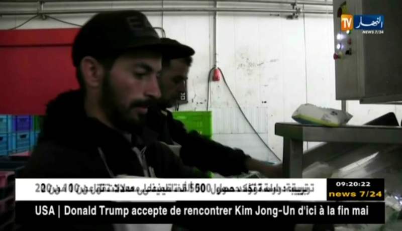 تيارت: إمضاء إتفاقيات مع مؤسسات إقتصادية لتشغيل شباب مكون بمناصب دائمة