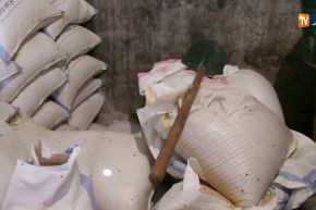 الجزائر ترفض جميع العروض في مناقصة لشراء 15 ألف طن من علف الشعير