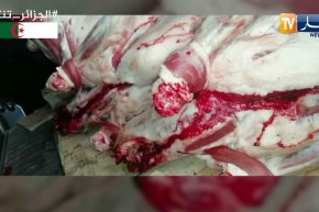 وهران: الدرك يحبط محاولة تسويق أزيد من 19 قنطار لحوم بيضاء وحمراء فاسدة