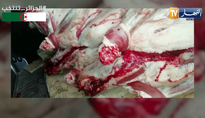 وهران: الدرك يحبط محاولة تسويق أزيد من 19 قنطار لحوم بيضاء وحمراء فاسدة