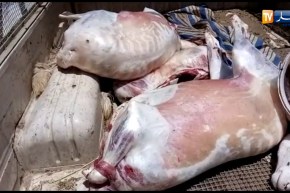 حجز لحوم حمراء غير صالحة للإستهلاك بتبسة