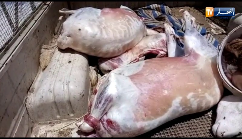 حجز لحوم حمراء غير صالحة للإستهلاك بتبسة