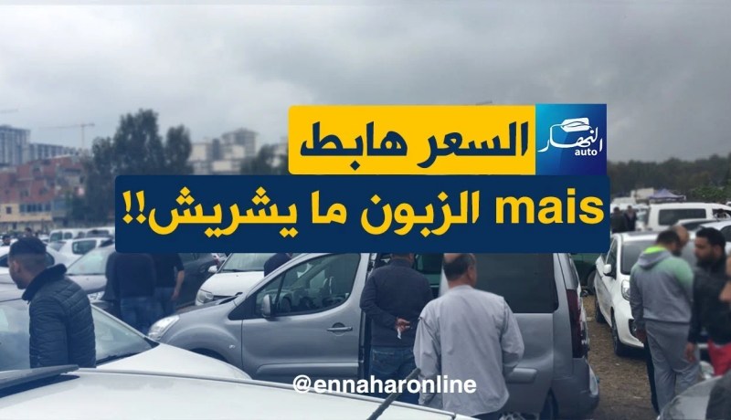 هكذا كانت أسعار السيارات اليوم بسوق القليعة