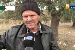 عين الدفلى: عمي رابح … قصة فلاح أصبح غريبا في أرضه بعد الإستيلاء عليها