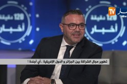 توسيع مجال الإستثمارات الجزائرية في القارة الإفريقية  ماذا يتطلب !