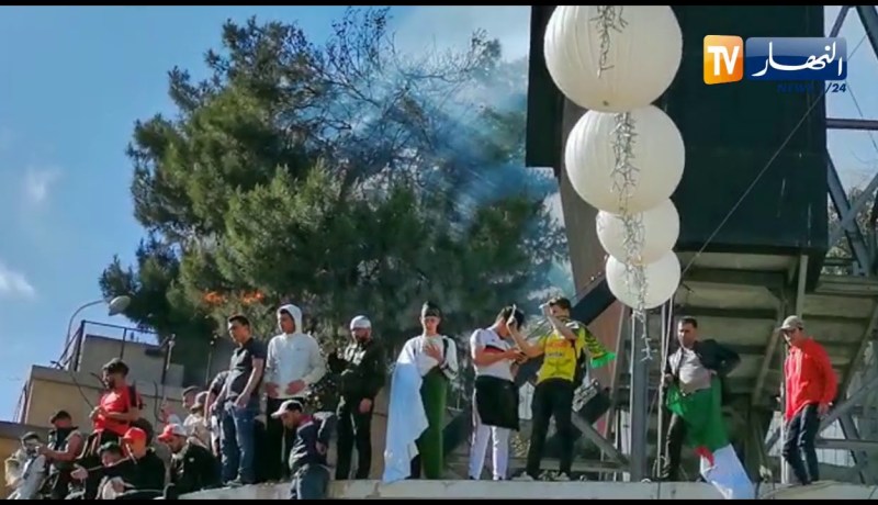 شاهد .. لحظة إشتعال النار في شجرة بالقرب من ساحة أودان العاصمة