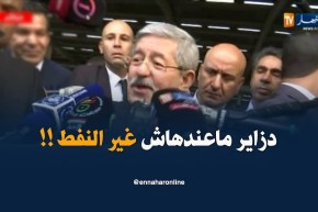 أويحيى : ” عندنا إقتصاد متنوّع..ماعندناش غير النّفط !! “