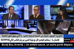100 مليون لتر سنويا..دعم شعبة “الزيتون وزيت الزيتون” لإقتحام الأسواق العالمية