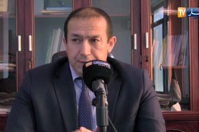 البليدة: فلاحون يتركون منتوج البرتقال في الأشجار بسبب إنخفاض الأسعار