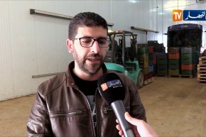 فلاحة/ إنطلاق تخزين البطاطا ما بعد الموسمية لمواجهة المضاربة