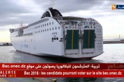 نقل: الشركة الوطنية للنقل البحري للمسافرين تتجه لتدعيم أسطولها البحري