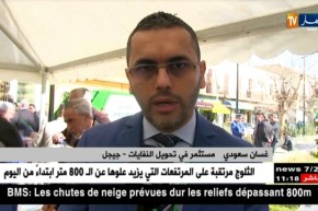 جيجل/ “معتز و غسان”…من جمع النفايات و إعادة تحويلها إلى مشروع إقتصادي نموذجي