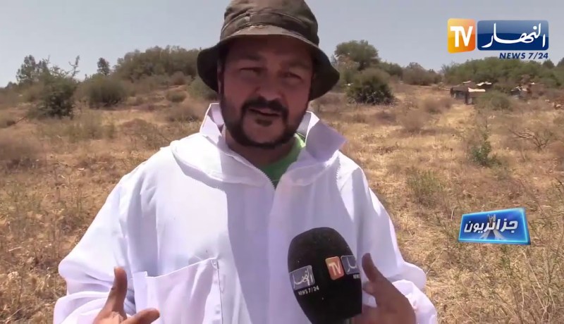 جزائريون/ تربية النحل بولاية تيارت منتعشة رغم العراقيل