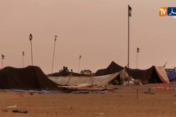 رئيس اللجنة الوطنية للتضامن مع الشعب الصحراوي يدعو للعودة للحقوق الأساسية