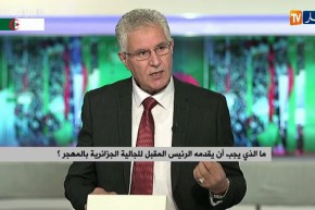 هذا الذي يجب أن يقدمه الرئيس المقبل للجالية الجزائرية بالمهجر