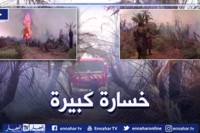 كارثة..حرائق تتلف عدة أشجار من النخيل بالبساتين القديمة بإن صالح