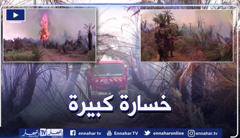 كارثة..حرائق تتلف عدة أشجار من النخيل بالبساتين القديمة بإن صالح