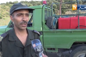 تيسمسيلت: الجهود المشتركة تبدد حريقا في محيط الحظيرة الوطنية للأرز بثنية الحد