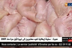 تجارة: إرتفاع أسعار الدجاج لعتبة 450 دج للكيلوغرام الواحد