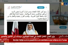 تعين سفير دولة قطر بالجزائر مندوبا لقطر بجامعة الدول العربية