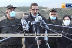 “وزير الفلاحة : “سنغرس أكثر من 300 ألف شجيرة في كل الولايات